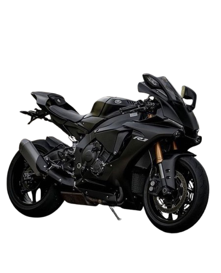 image removebg preview (6)